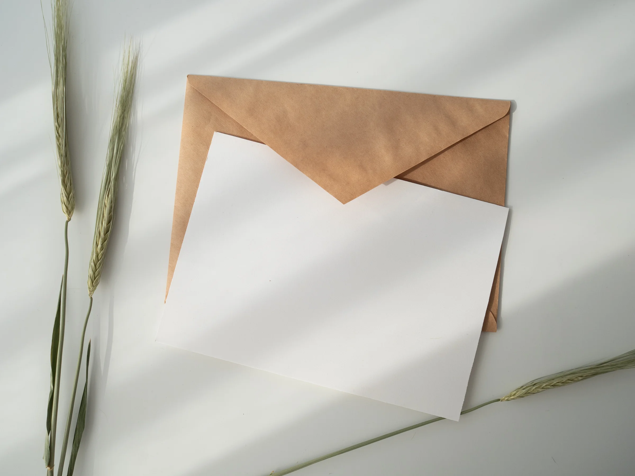 Brauner Briefumschlag mit leerem weißen Blatt, daneben Getreideähren.